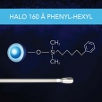 BC - 160 A Phenyl-Hexyl Thumbnail