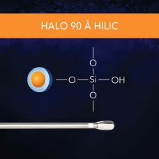SM - 90 A HILIC Thumbnail