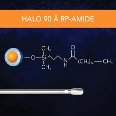 SM - 90 A RP Amide Thumbnail
