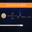 SM - 90 A RP Amide Thumbnail
