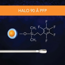 SM - 90 A PFP Thumbnail