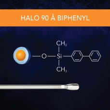 SM - 90 A Biphenyl Thumbnail