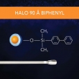 SM - 90 A Biphenyl Thumbnail