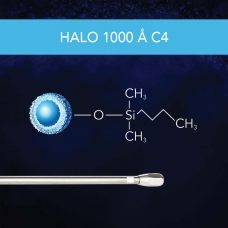 BC - 1000 A C4 Thumbnail
