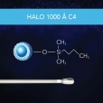BC - 1000 A C4 Thumbnail