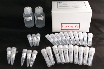 n-glycan